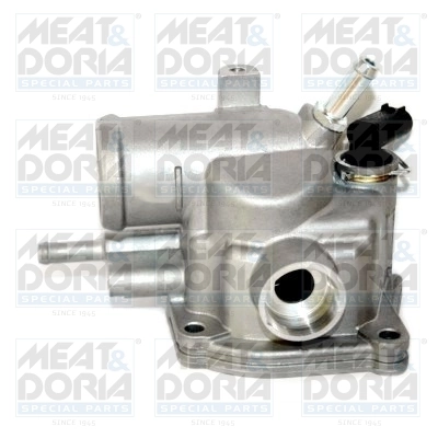 Thermostat, coolant
